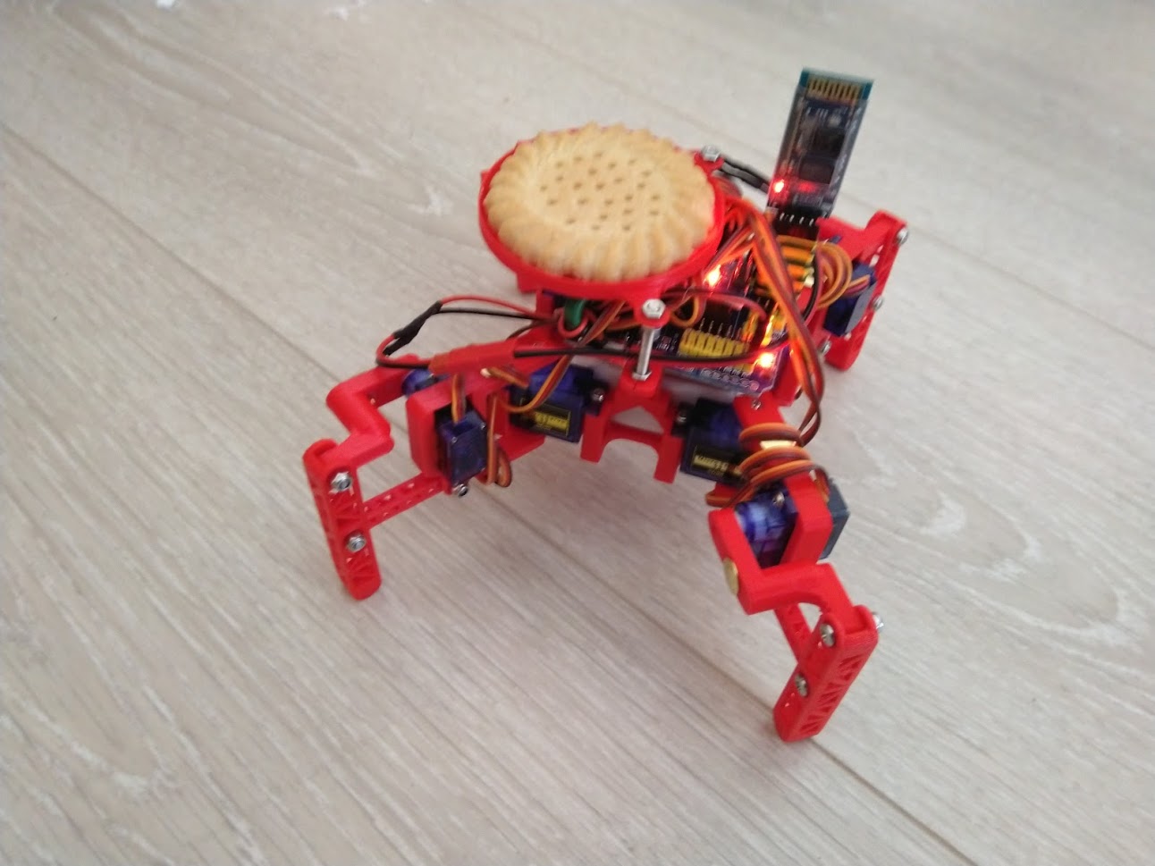 V3 spider robot with a biscuit