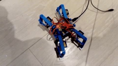 V1 spider robot moving